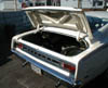 69 cyclone


    right trunk