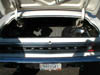 69 cyclone trunk 2
